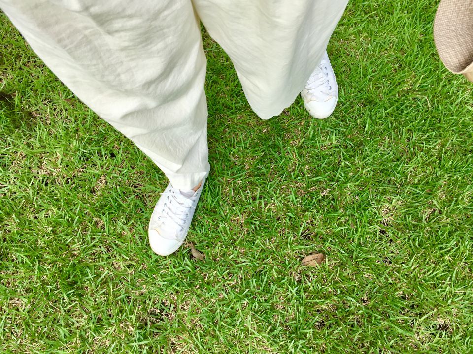 雨の日の心を彩る傘の魅力と選び方